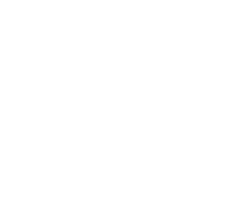 Made in Deman